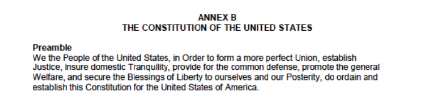 NoDAPL Protest FEMA Constitution